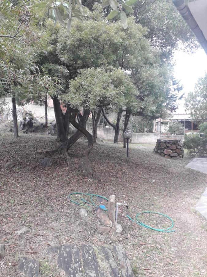 B&B Nuraghes Olbia Buitenkant foto