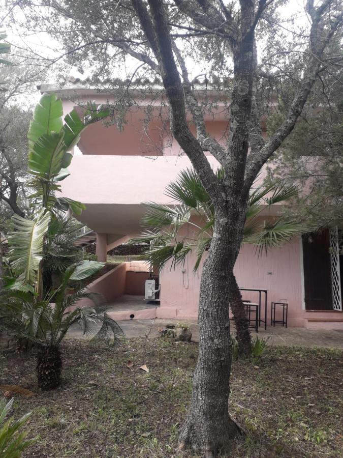 B&B Nuraghes Olbia Buitenkant foto