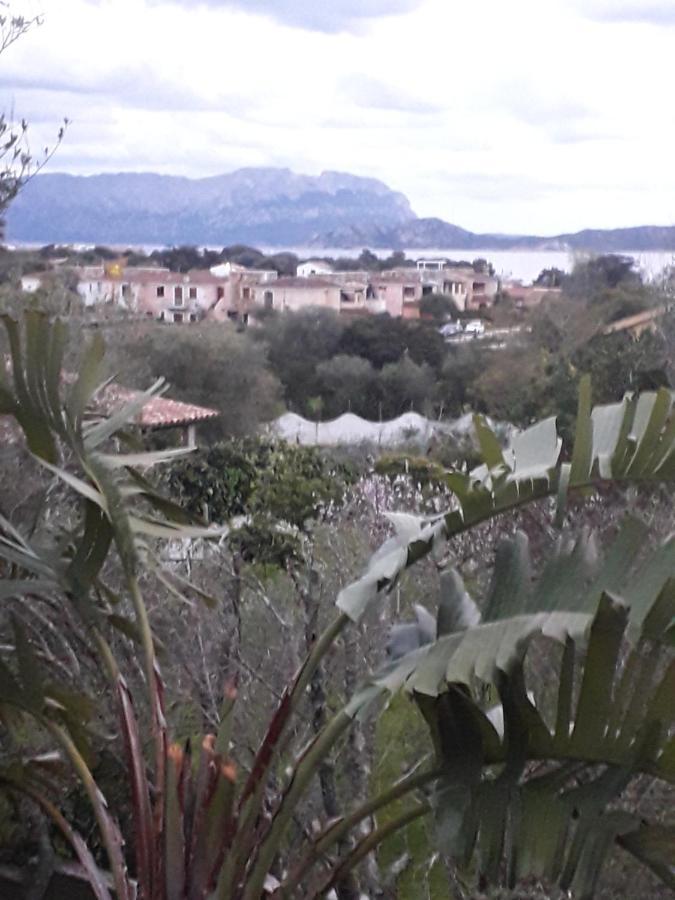 B&B Nuraghes Olbia Buitenkant foto
