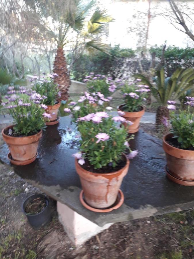 B&B Nuraghes Olbia Buitenkant foto