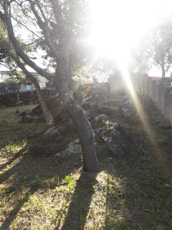 B&B Nuraghes Olbia Buitenkant foto