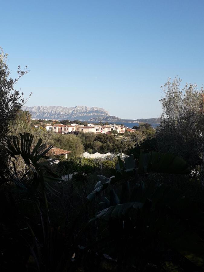 B&B Nuraghes Olbia Buitenkant foto
