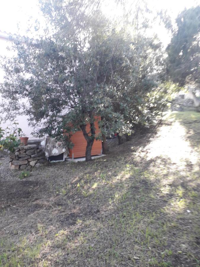 B&B Nuraghes Olbia Buitenkant foto