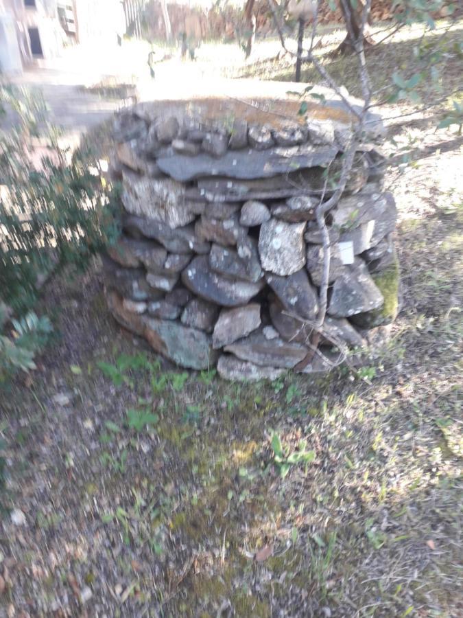 B&B Nuraghes Olbia Buitenkant foto